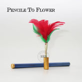 Pencile To Flower